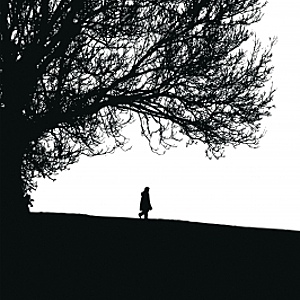 Silhouetted Figure And Tree